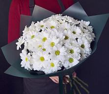 Букет цветов из:  Хризантемы #REPLACE_PRED# Барабинске