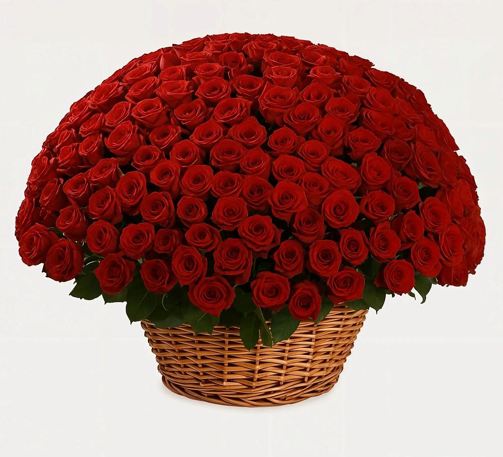 Премиум букет из: Розы в Барабинске