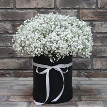 Цветочная композиция из Гипсофила в шляпной коробке в Барабинске